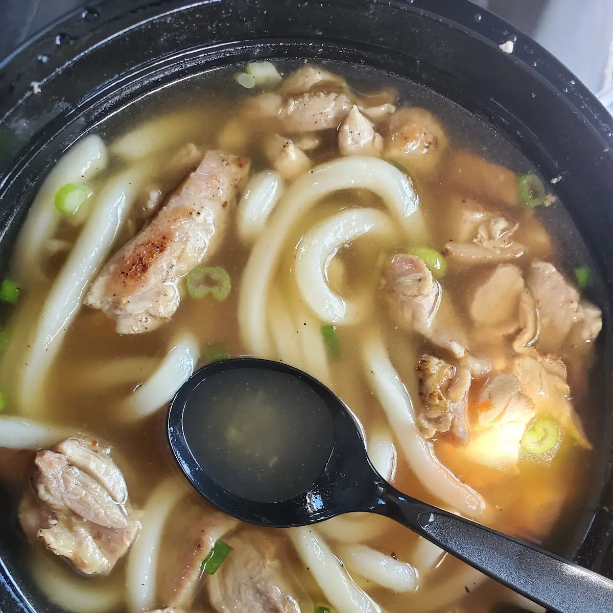 Udon Chicken Noodle Soup