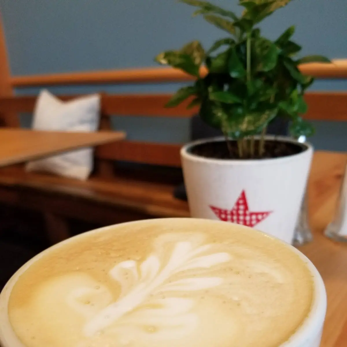 16 Oz Latte