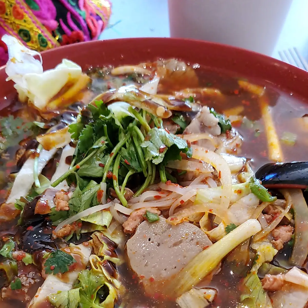 Spicy Beef Noodle Soup