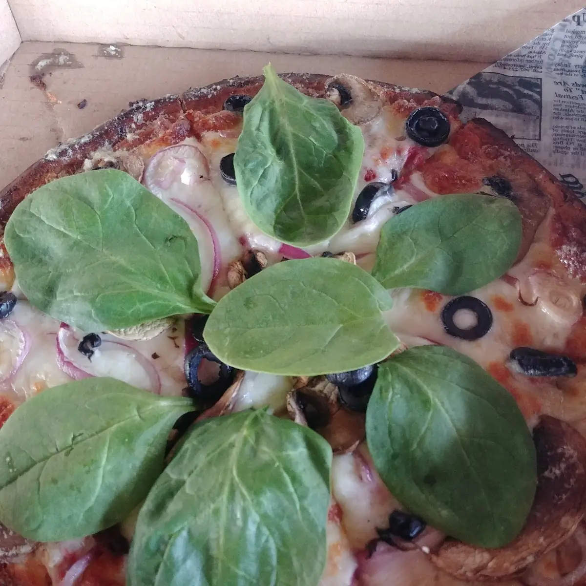 Veggie Pizza