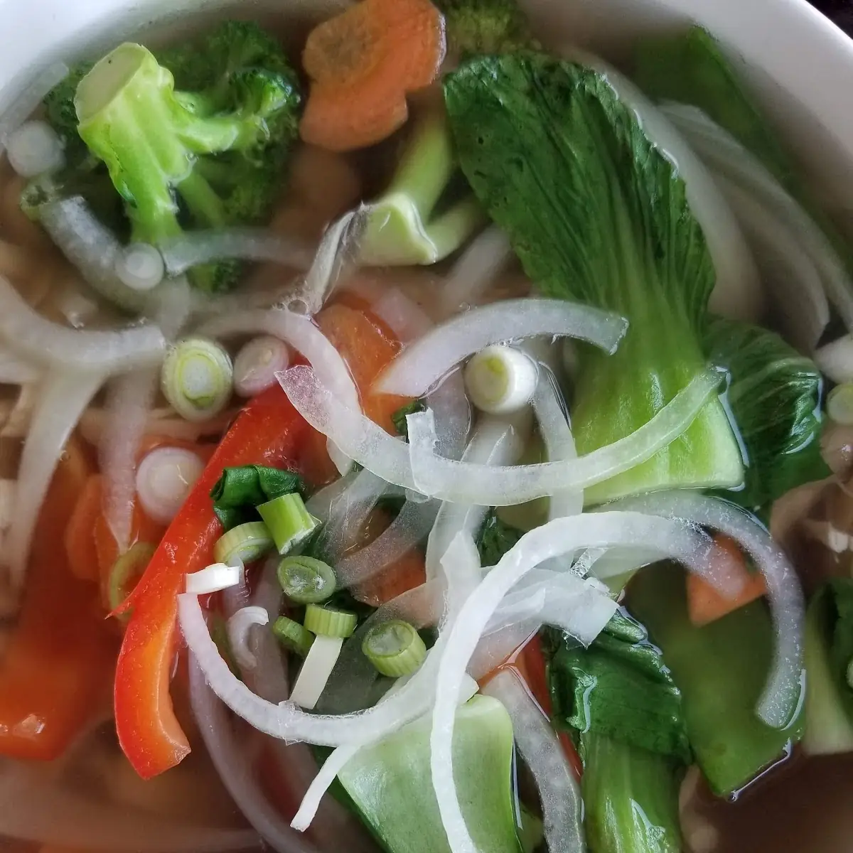 Vegetable Soup