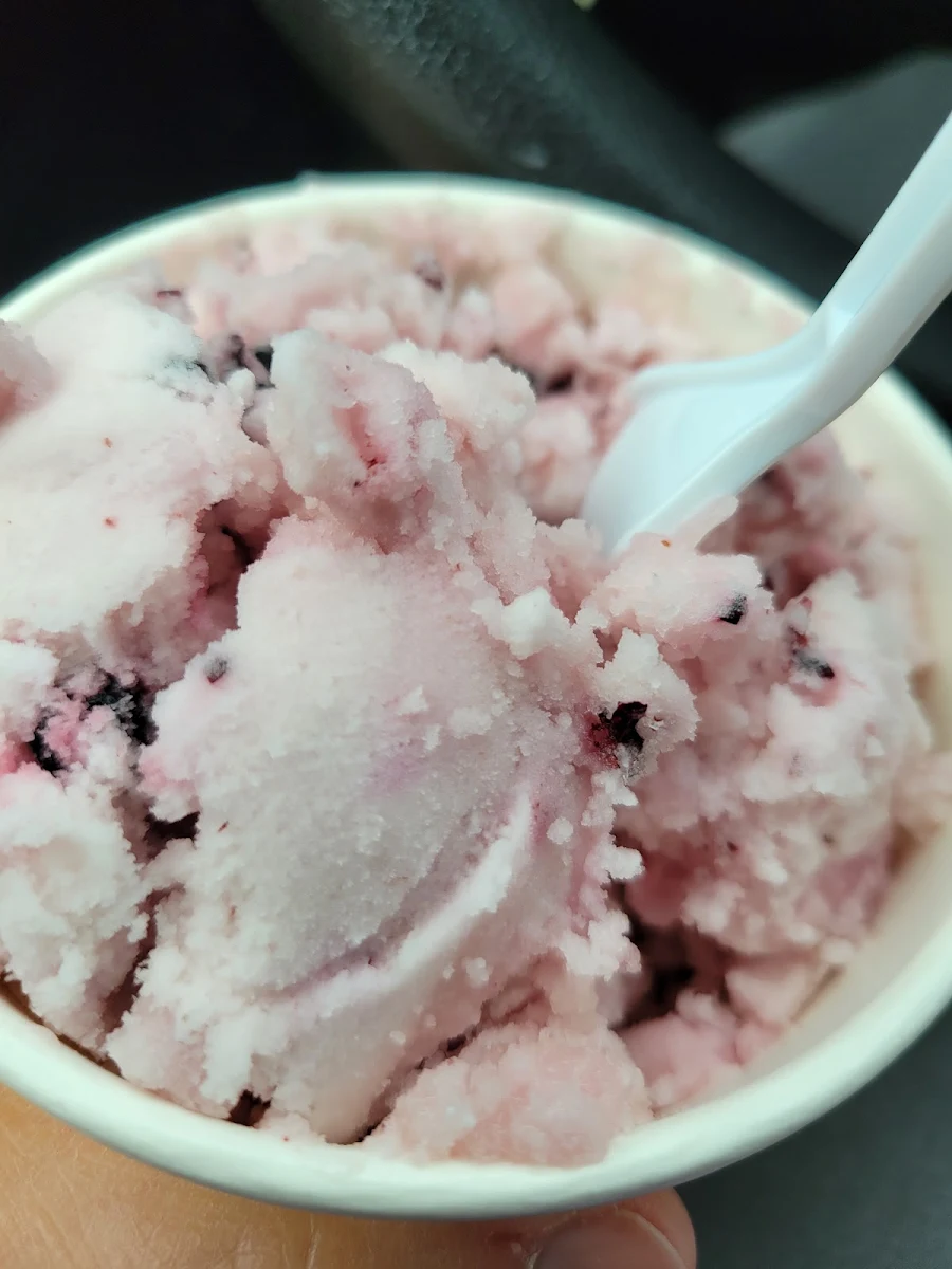 Blueberry Sorbet