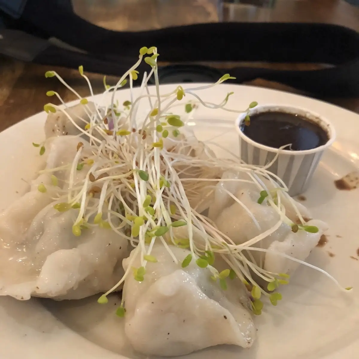 Pan-Seared Shanghai-Style Dumplings