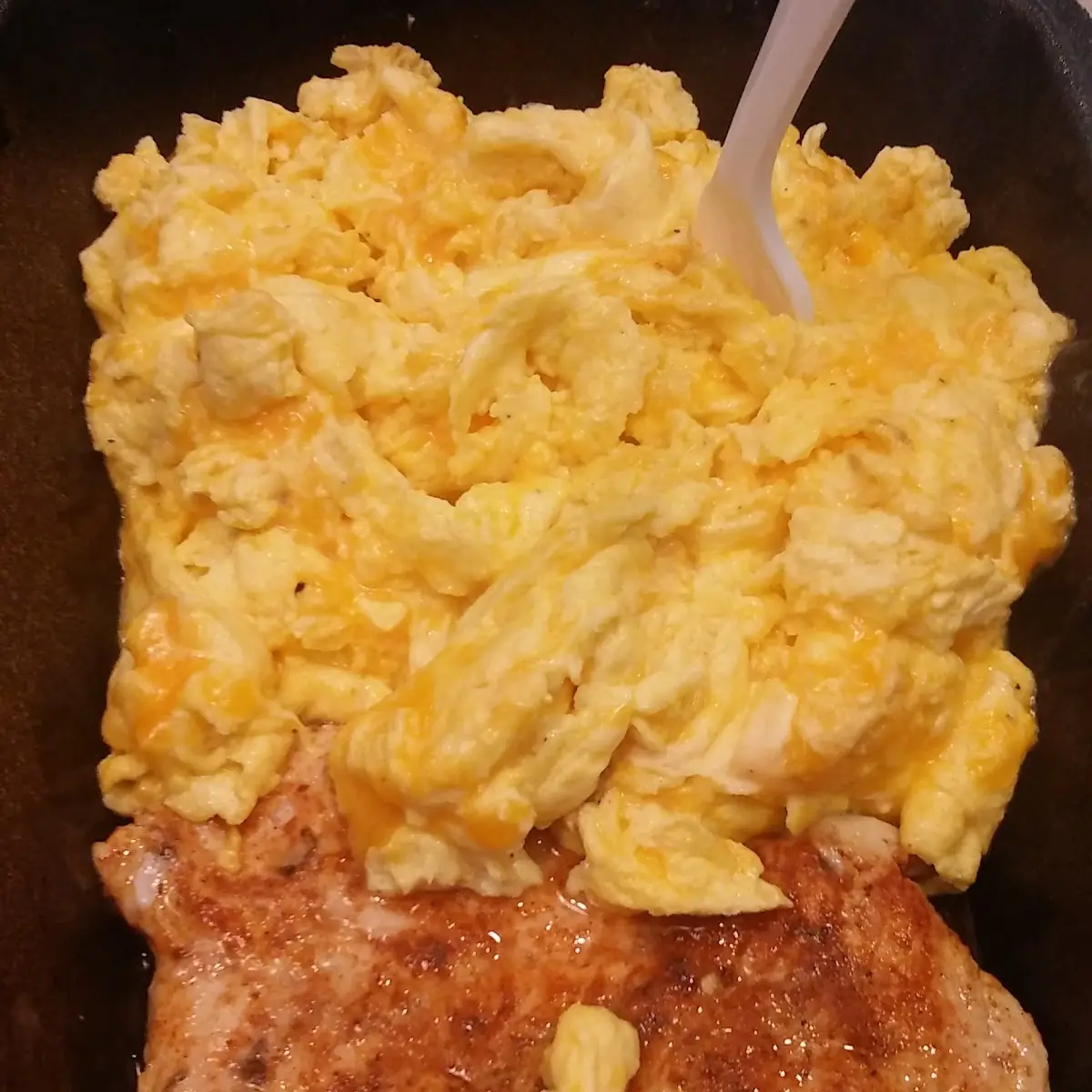 Protein Bowl