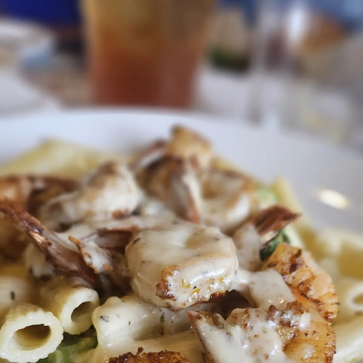 Grilled Shrimp Alfredo