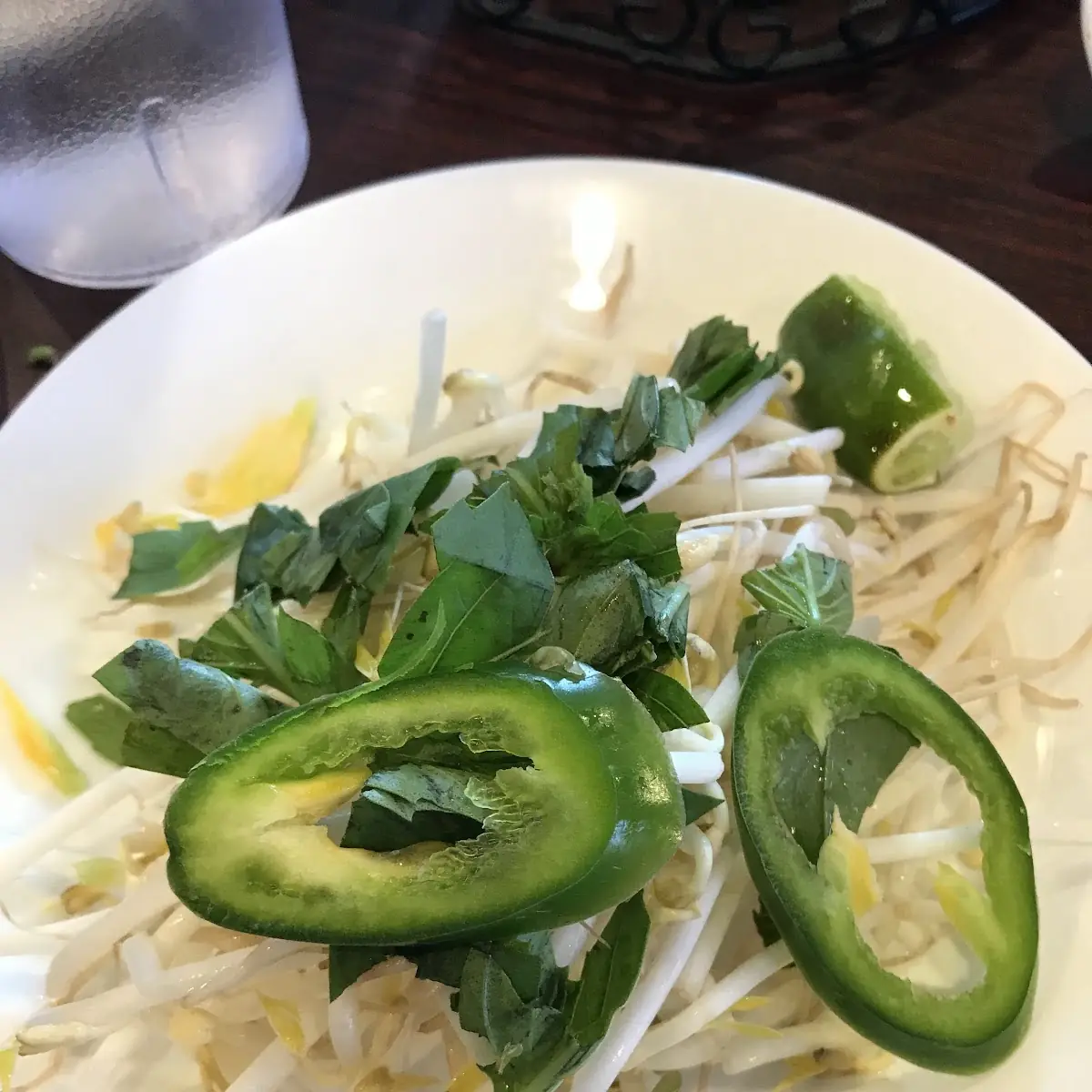 Extra Bean Sprouts