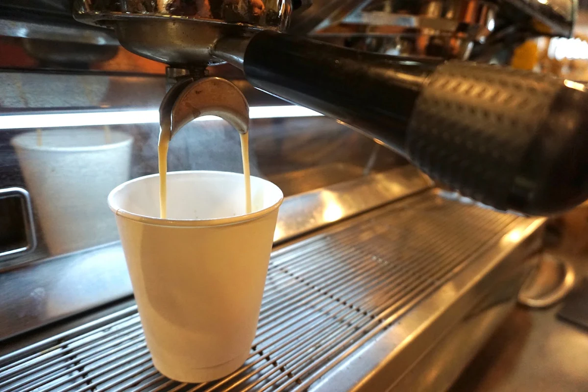 Steamed Milk