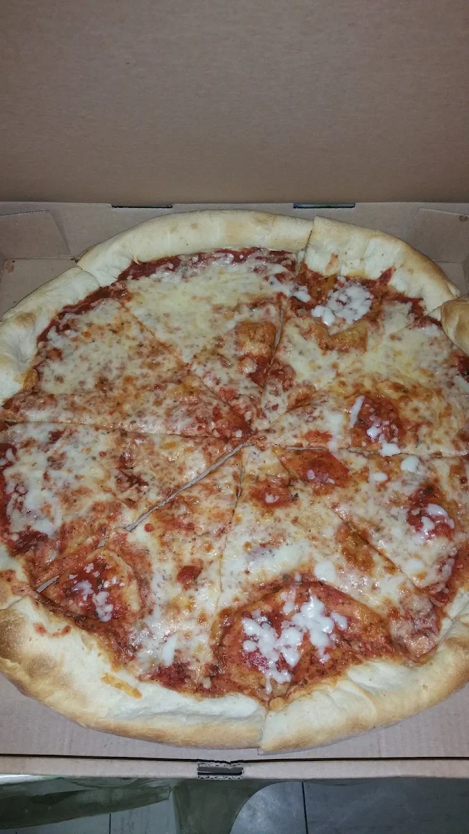 Plain Pizza