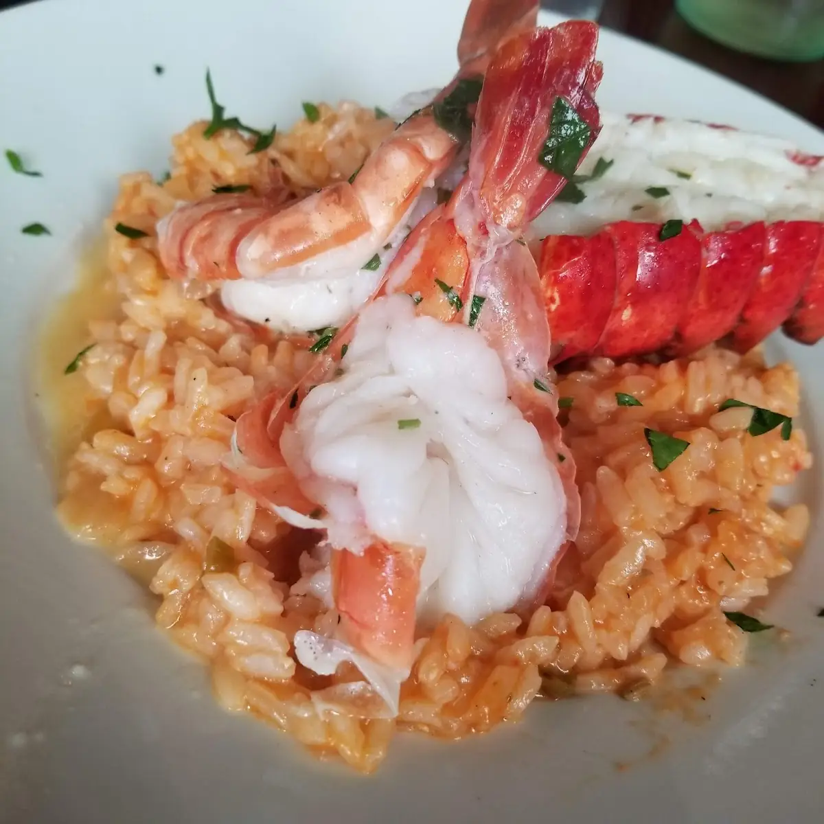 The Special Seafood Risotto