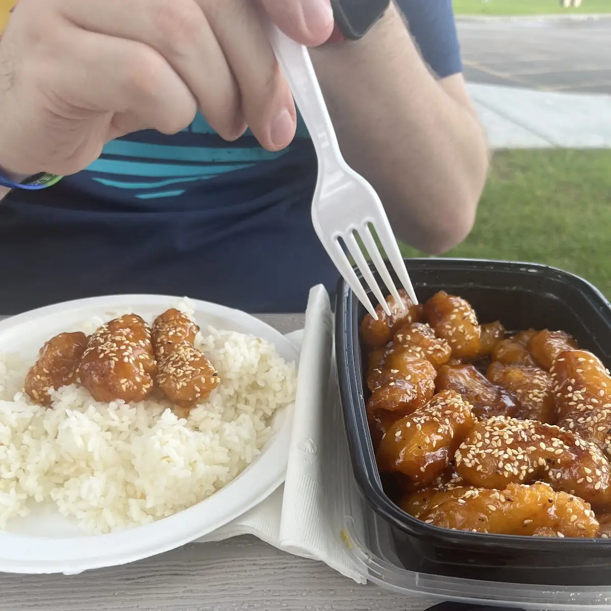 Sesame Chicken