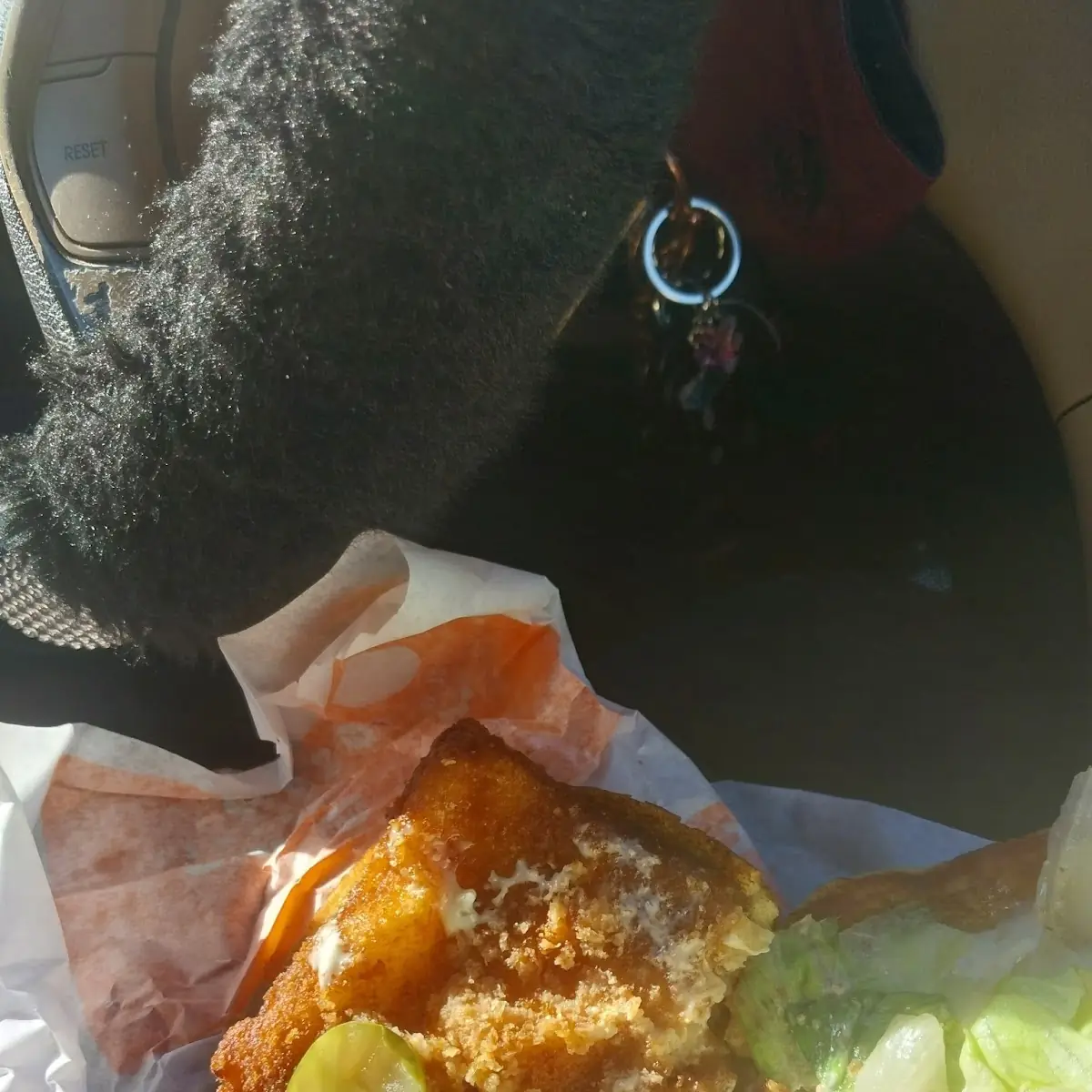 Fish Sandwich