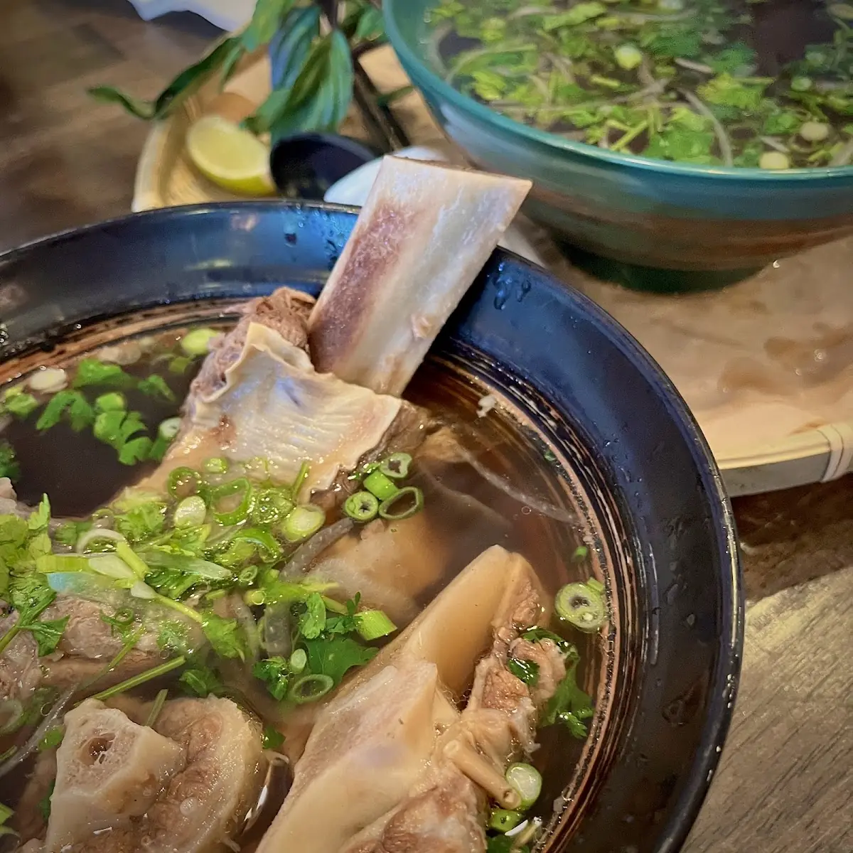 Pho Suon Bo-Beef Ribs Noodle