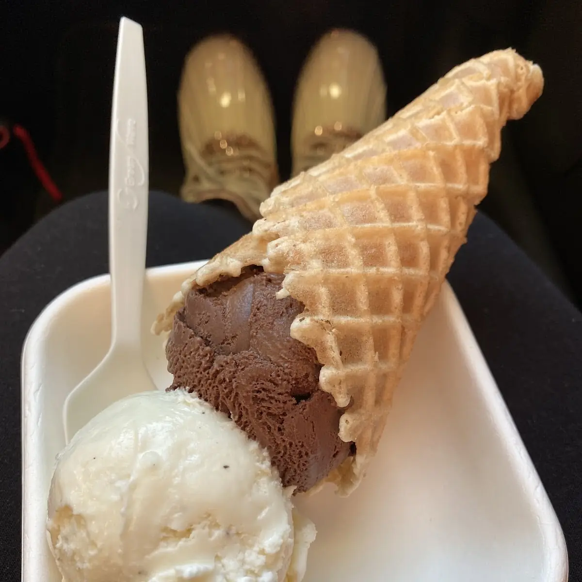 Vanilla Bean and Chocolate Ice Cream