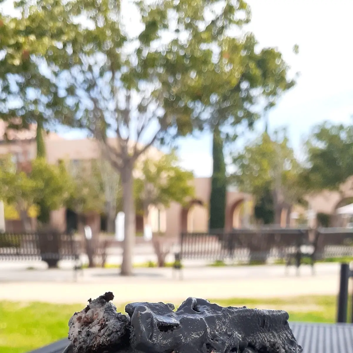 Oreo Overload Pre-Packed Quart