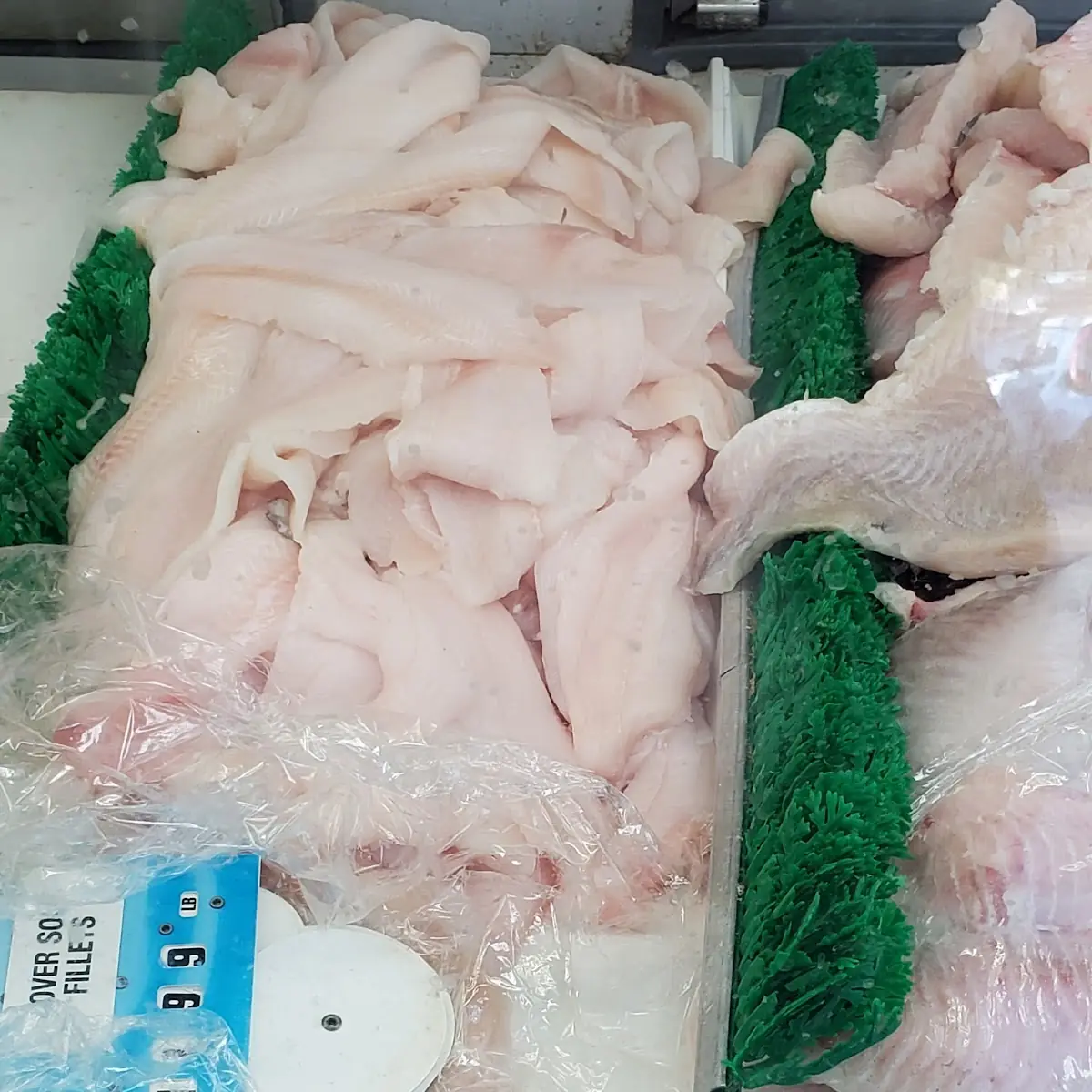 pcs Cat Fish Fillet