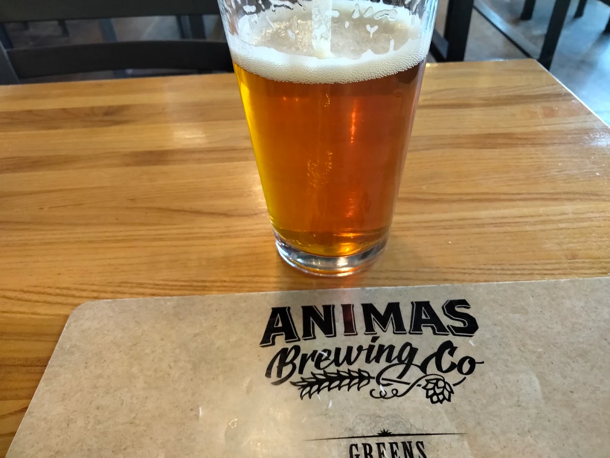IPA Beer