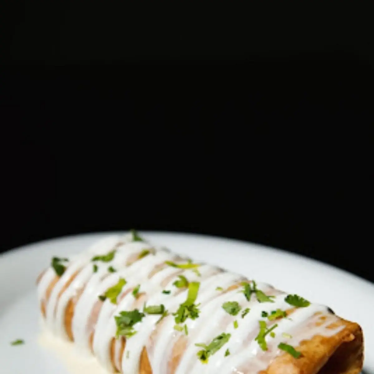 VEGGIE BURRITO