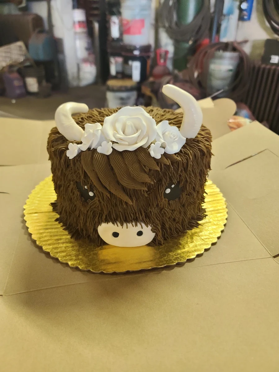 Chocolate Cake