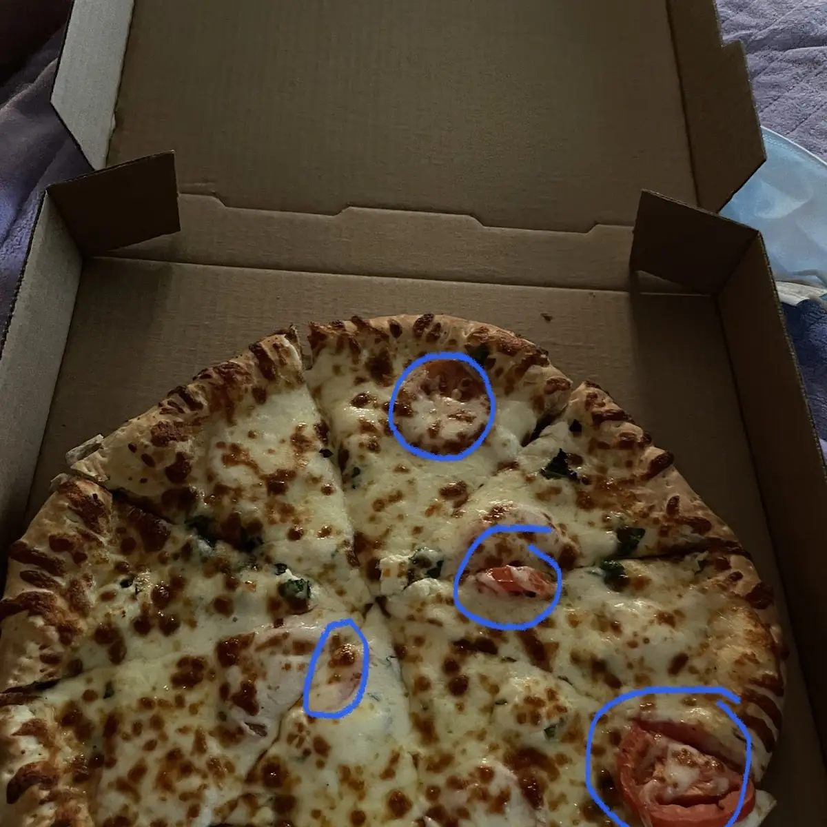 Tomato Slices
