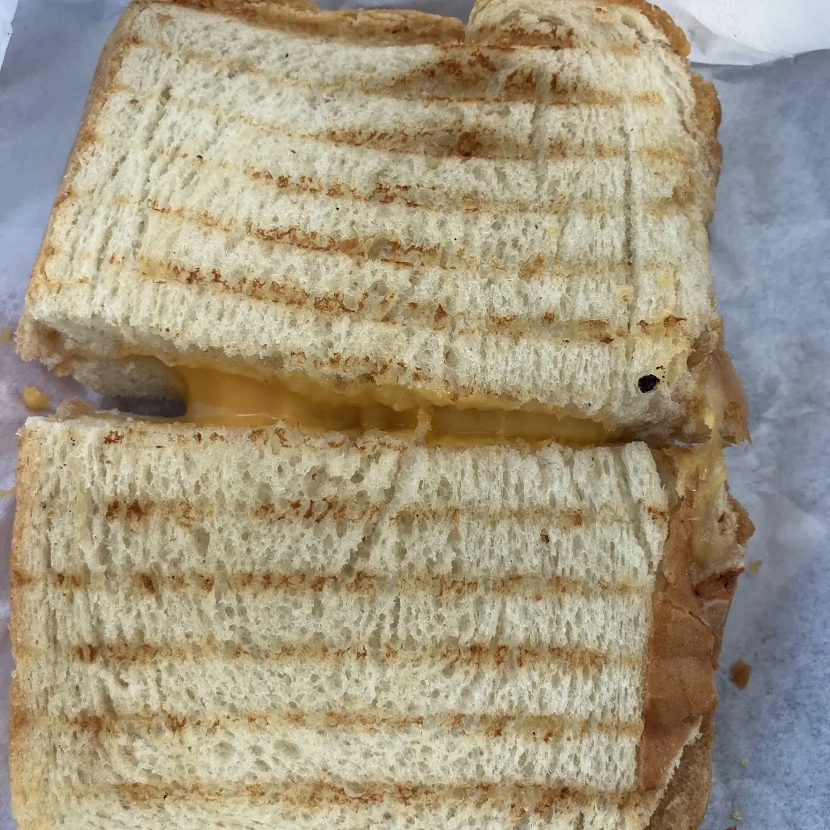 Cheese Sandwich
