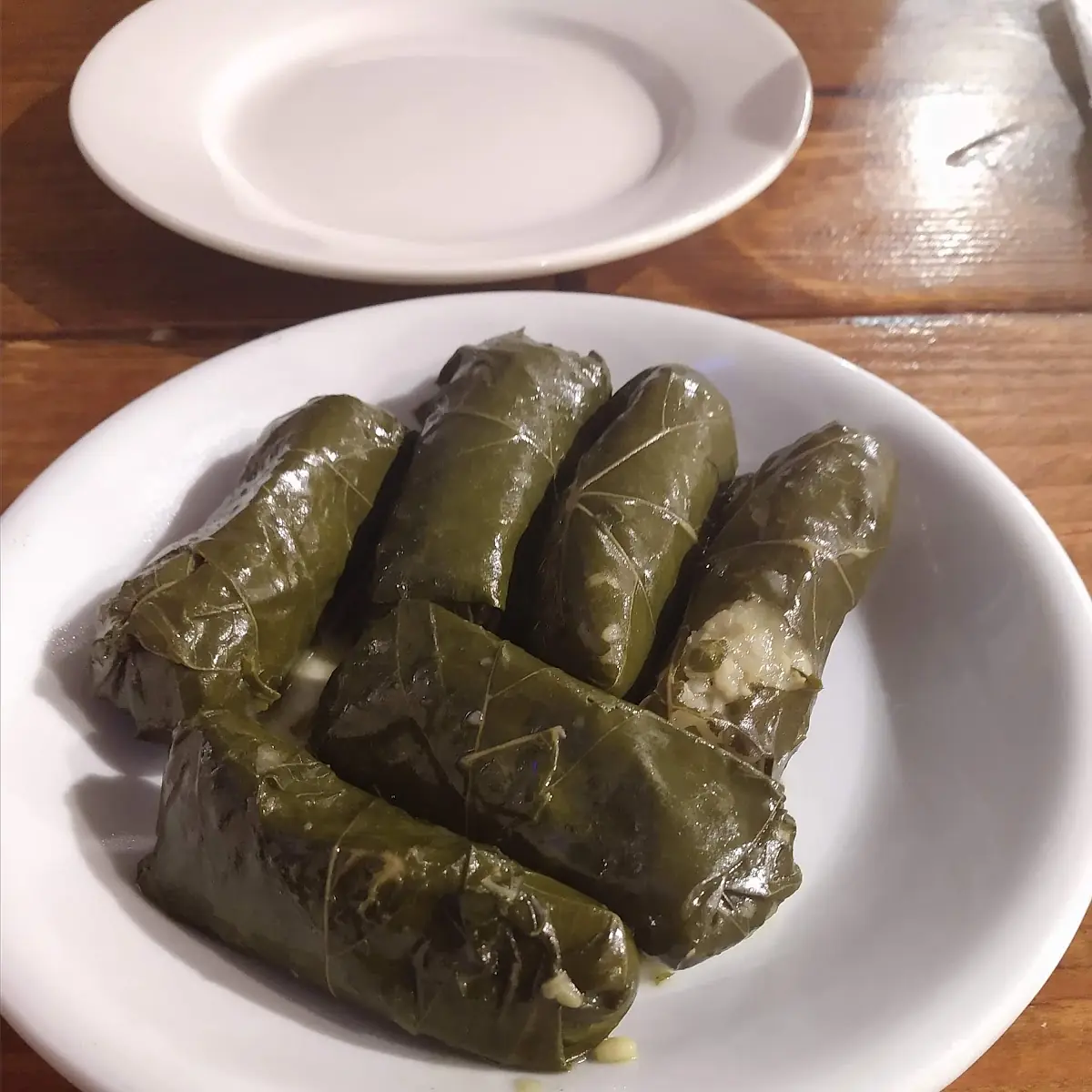 Stuffed Grape Leaves