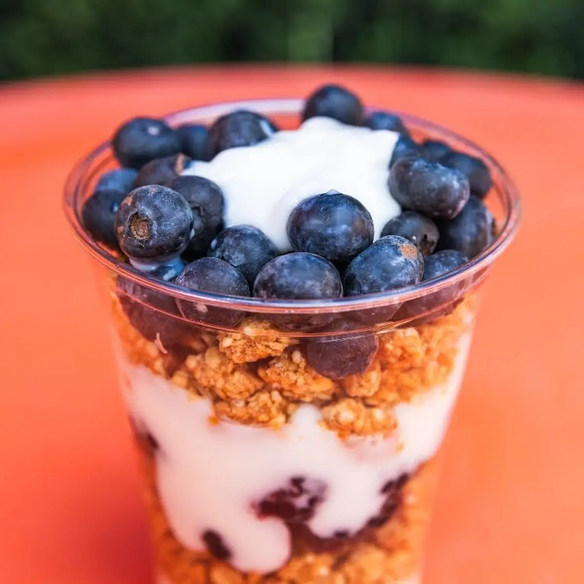 Yogurt Parfait