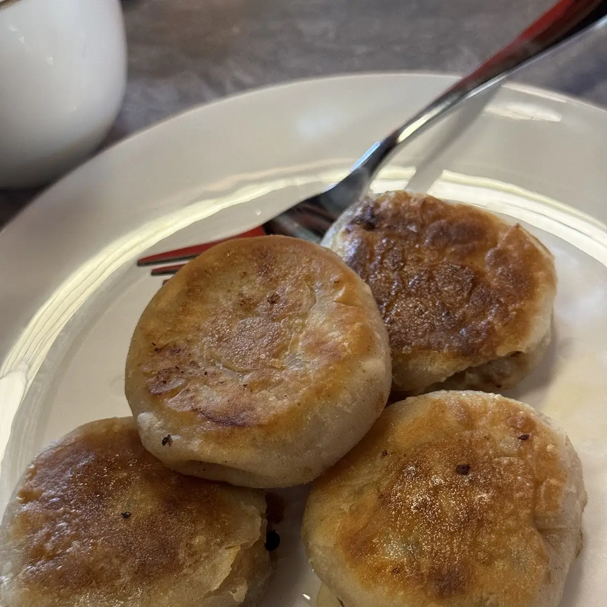Pan Fried Pork Bun
