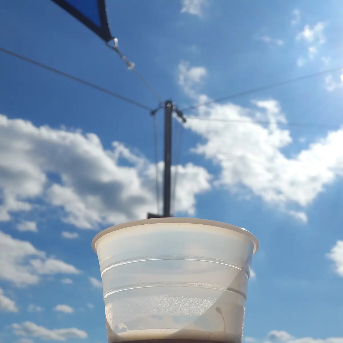 Cold Beers
