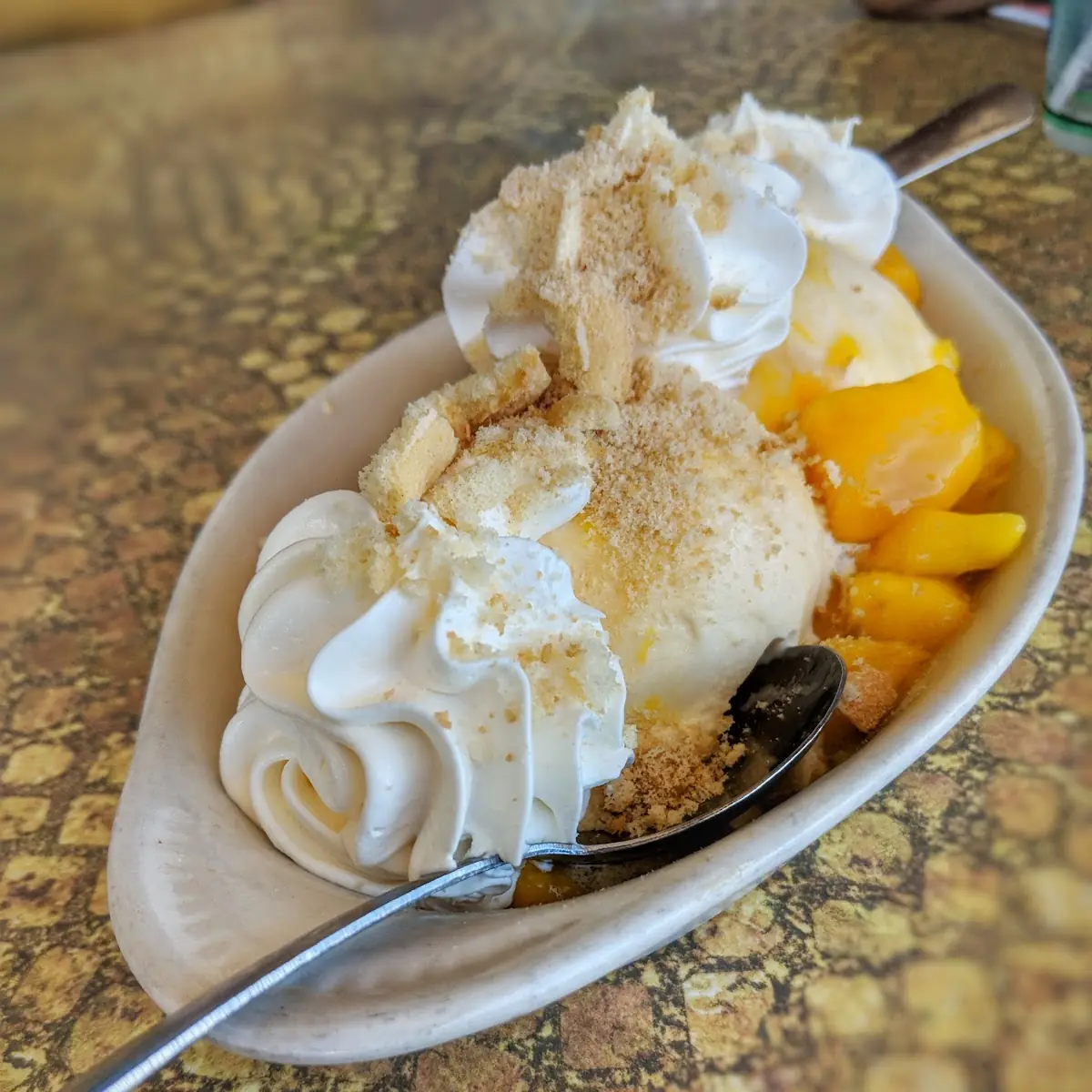 Fried Ice Cream
