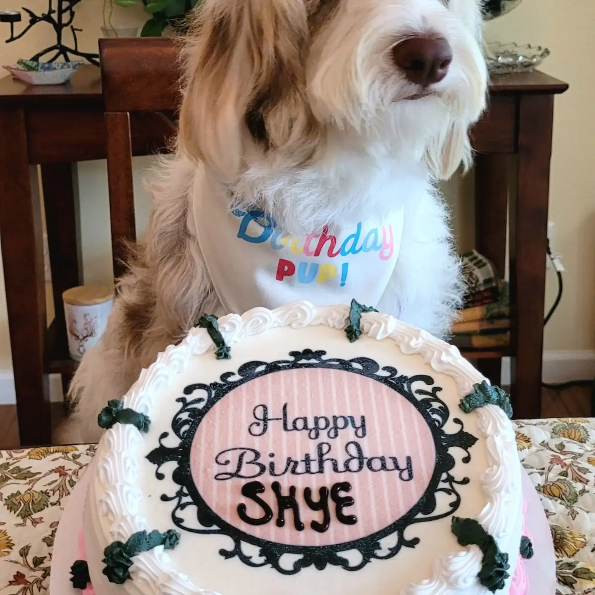 Birthday Cake