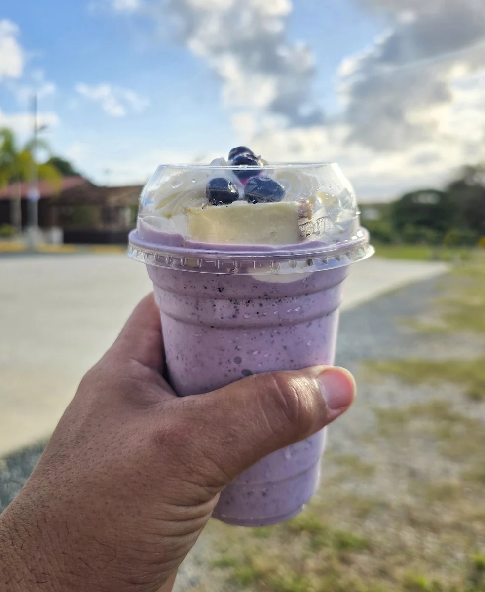 White Chocolate Blueberry Chessecake