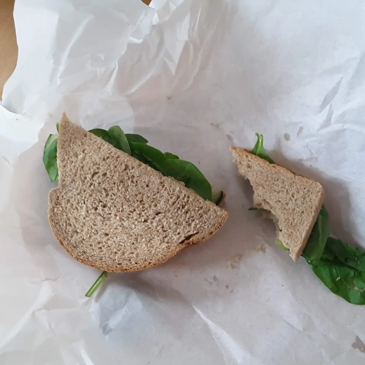 Veggie Sandwich