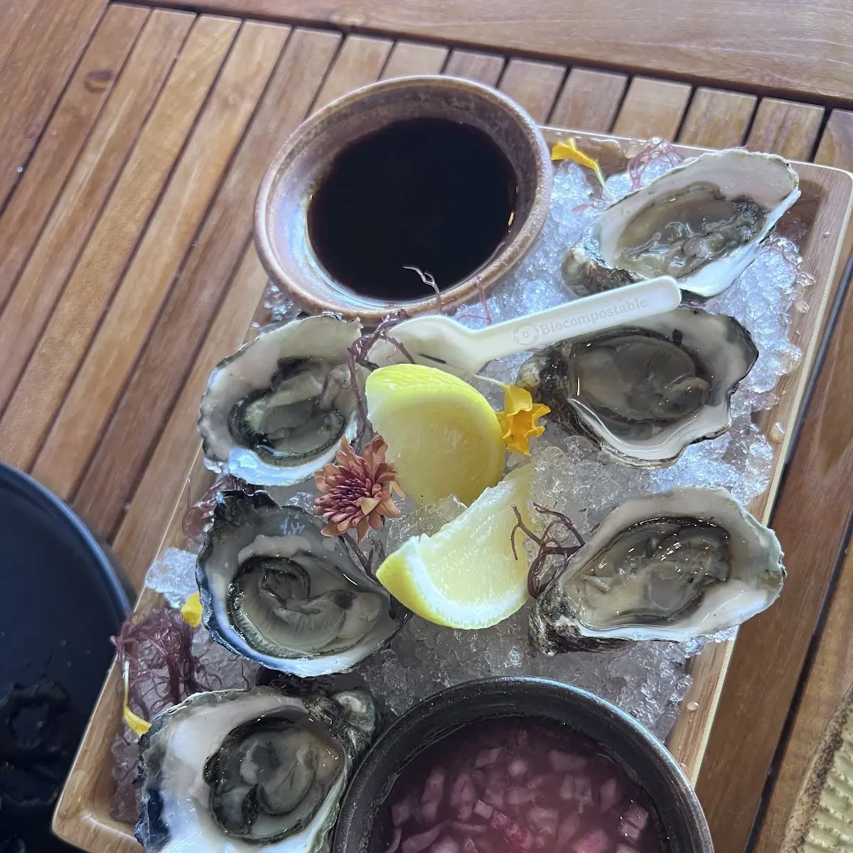 Fresh Oysters on the Half Shell