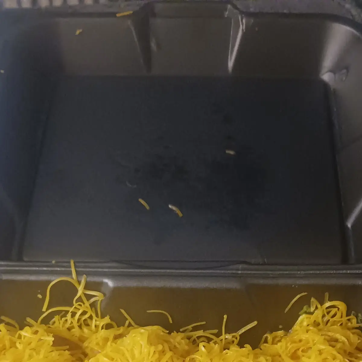 Shredded Cheddar Cheese
