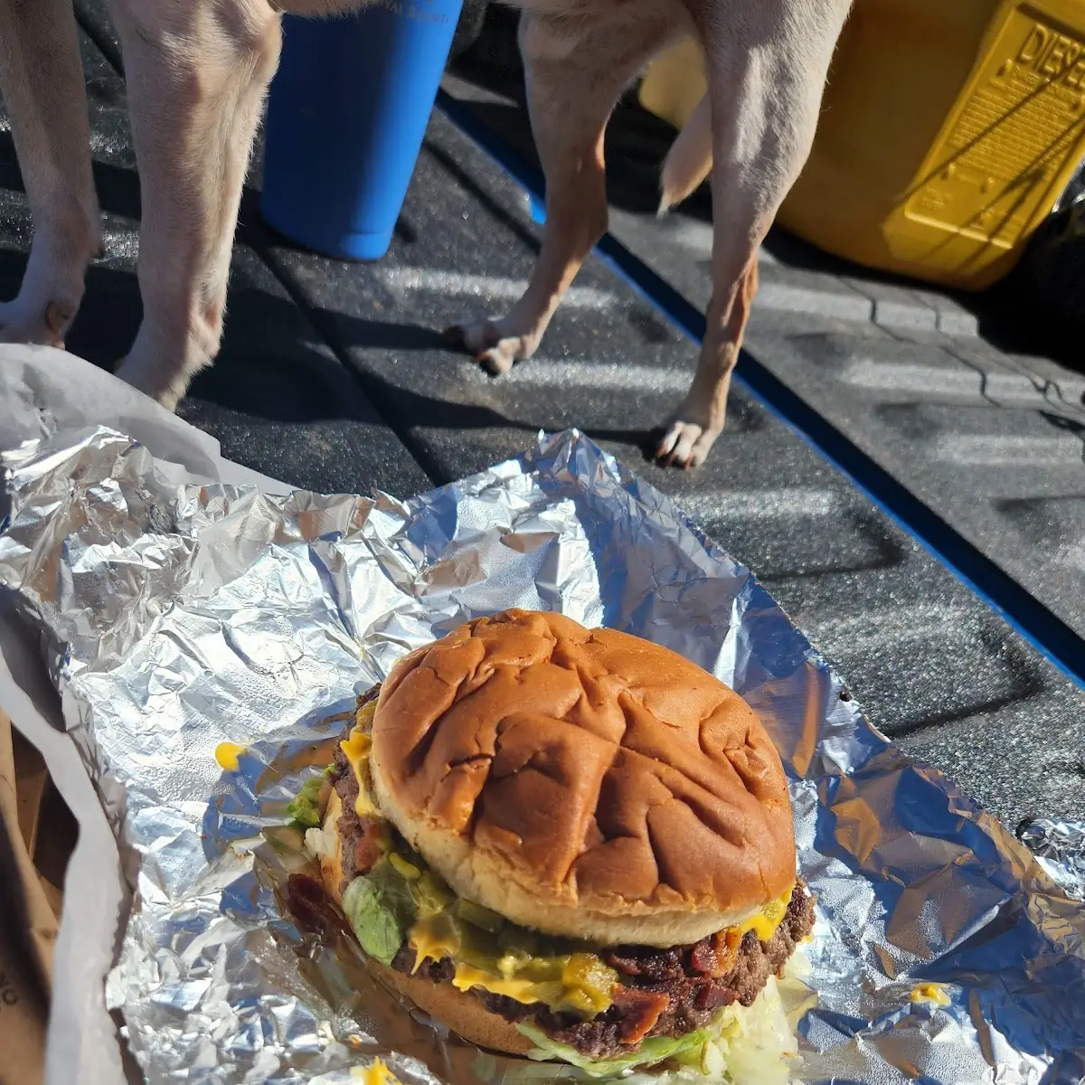 Green Chili Cheeseburgers