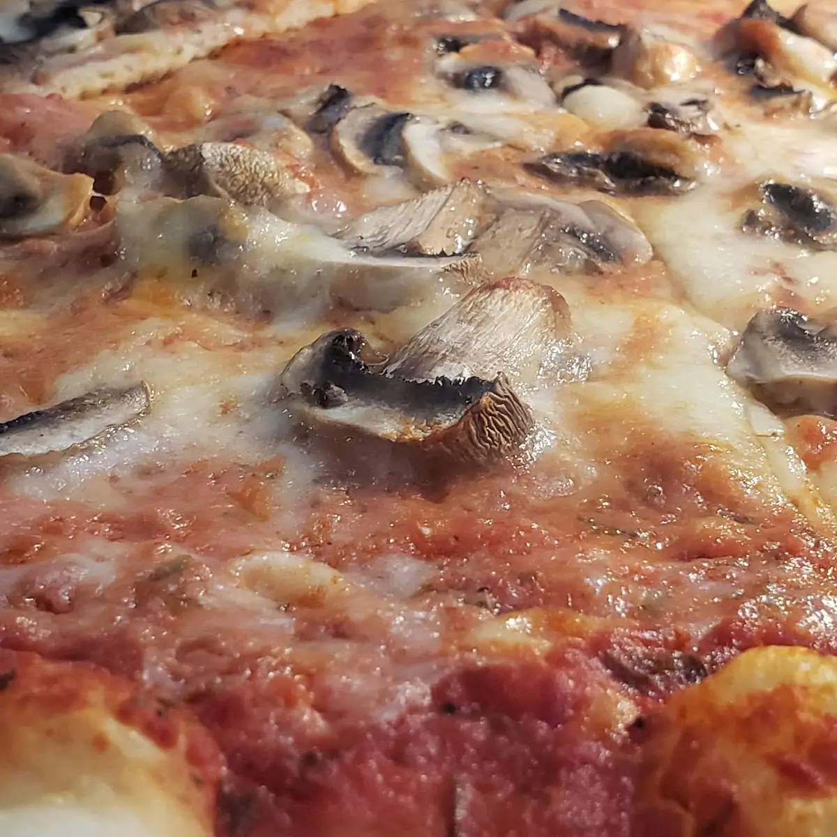 Mushroom Pizza