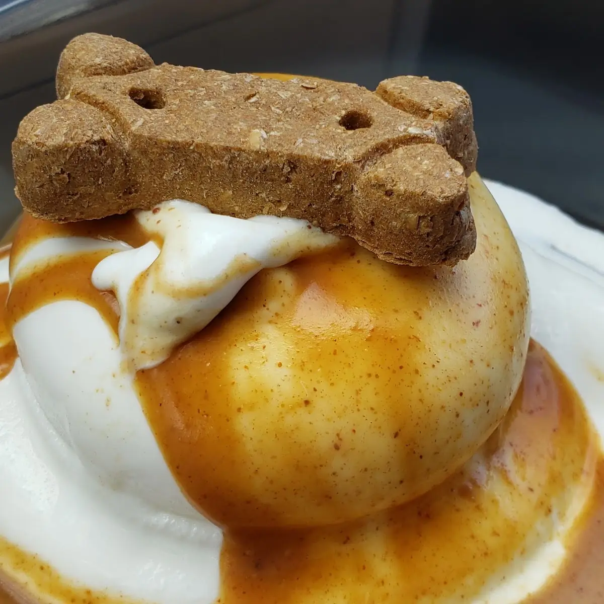 Puppy Sundae