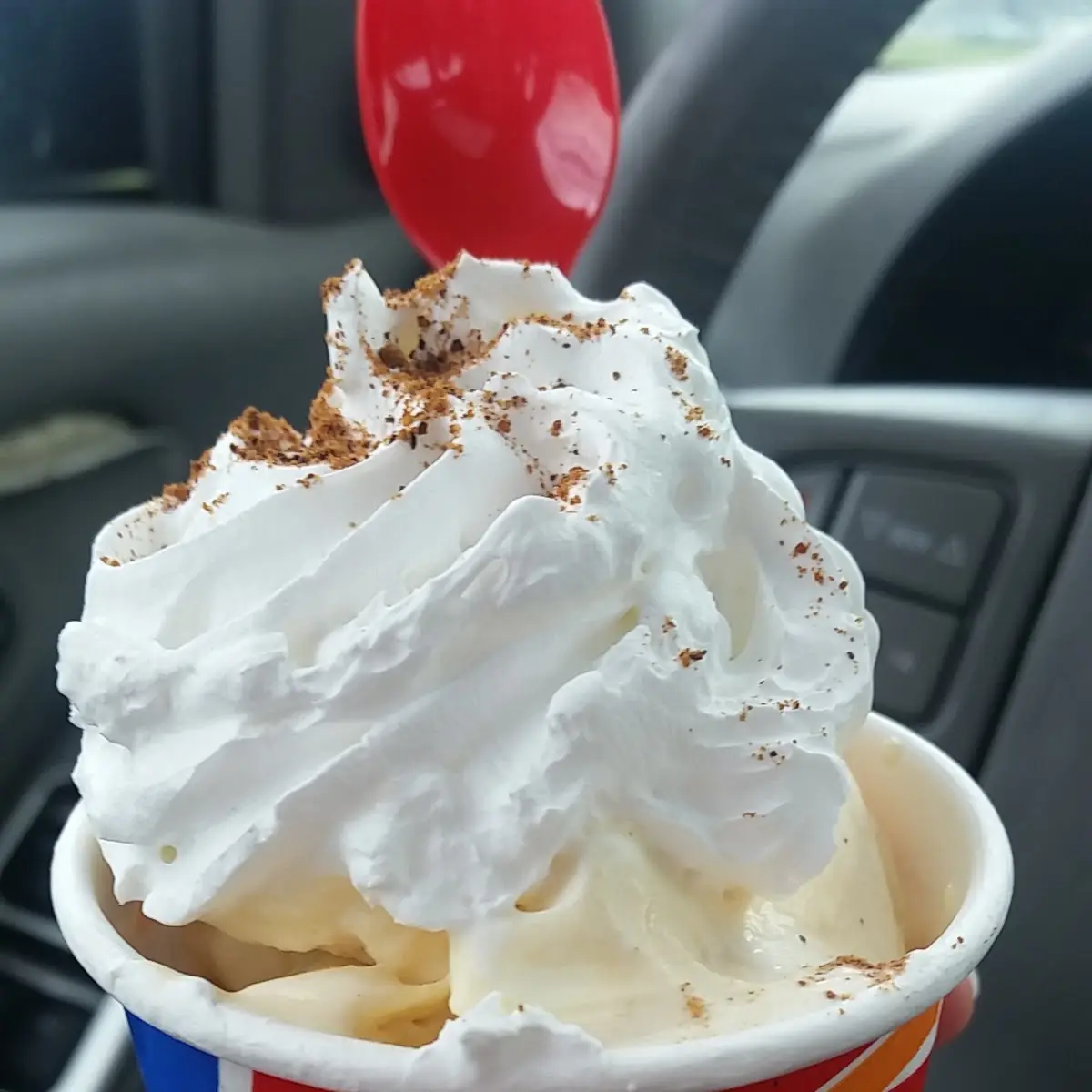 Pumpkin Pie Blizzard