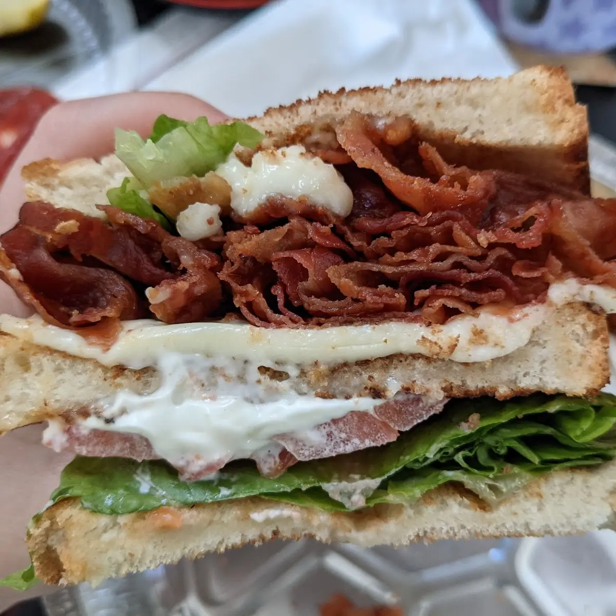 blt Club Sandwich