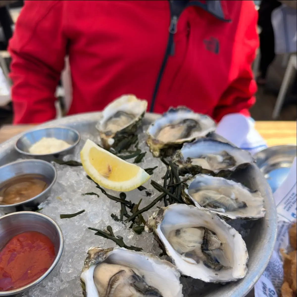 Local Half Shell Oysters