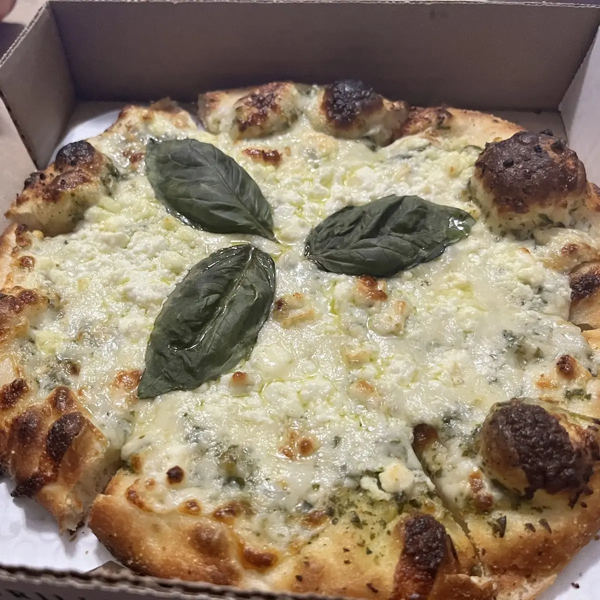 Five Cheese Pizza