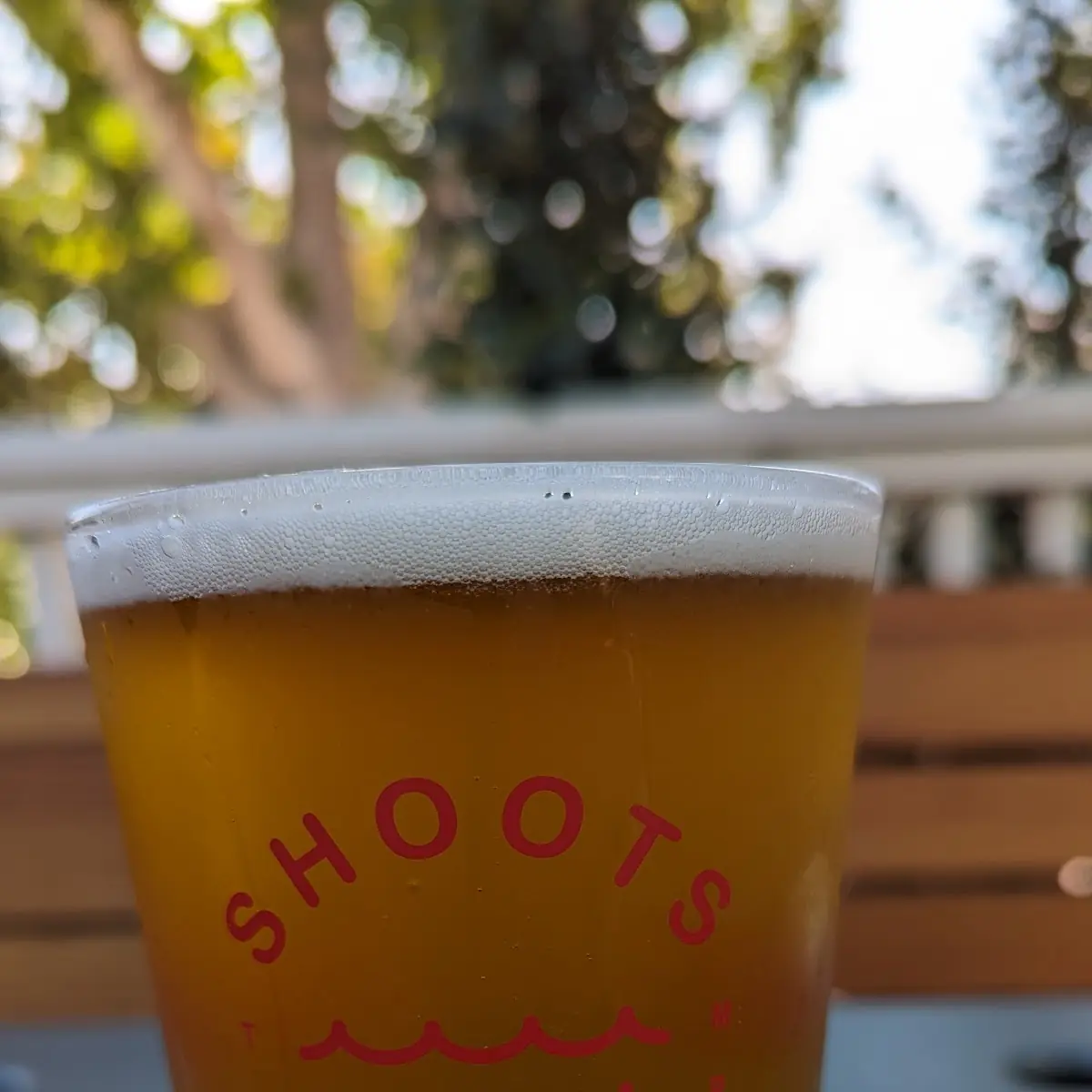 Hazy IPA