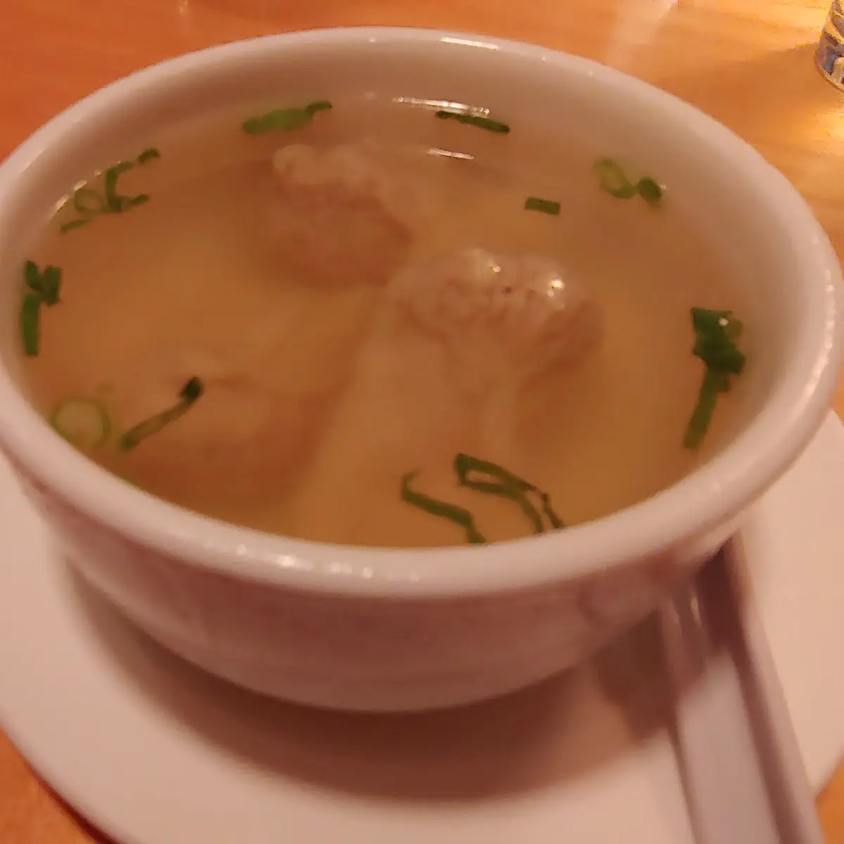 Wonton Soup