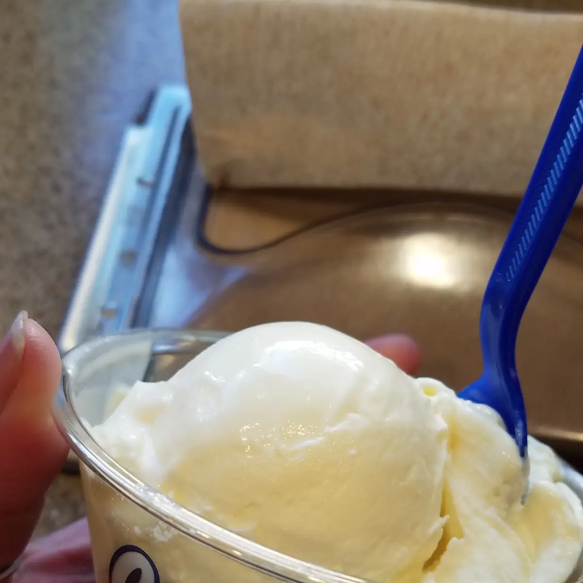 Vanilla Frozen Custard