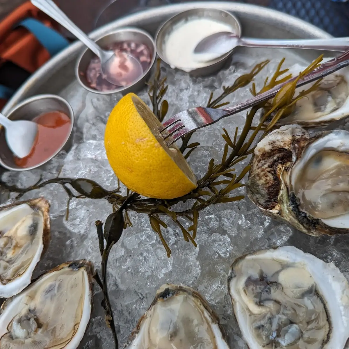 1 2 Dozen Oysters