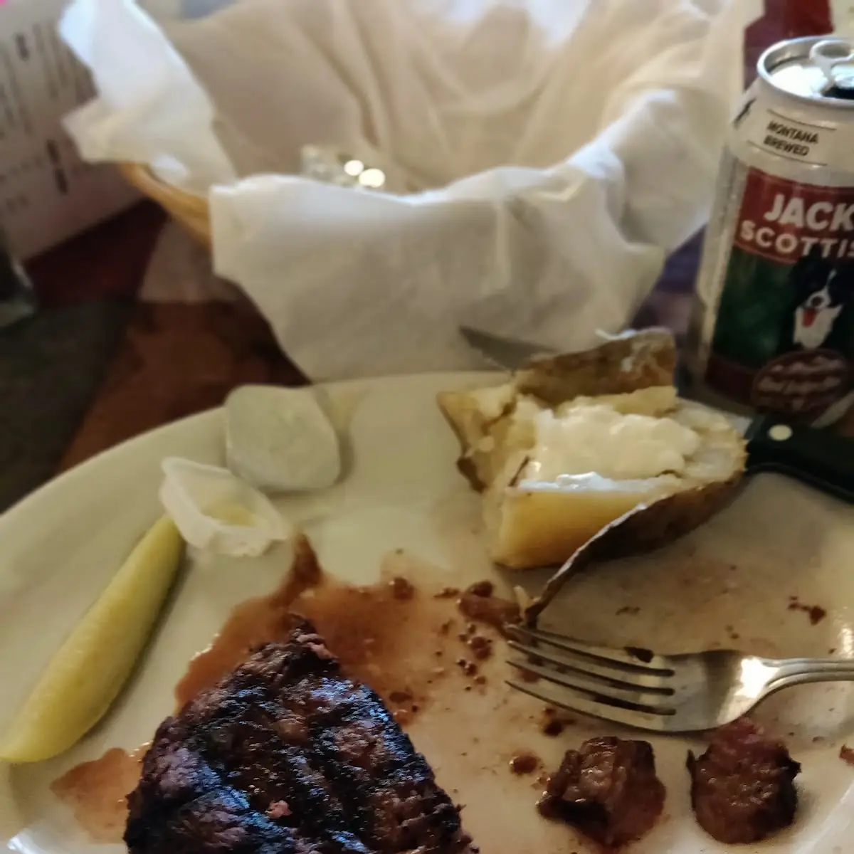 Bison Steak