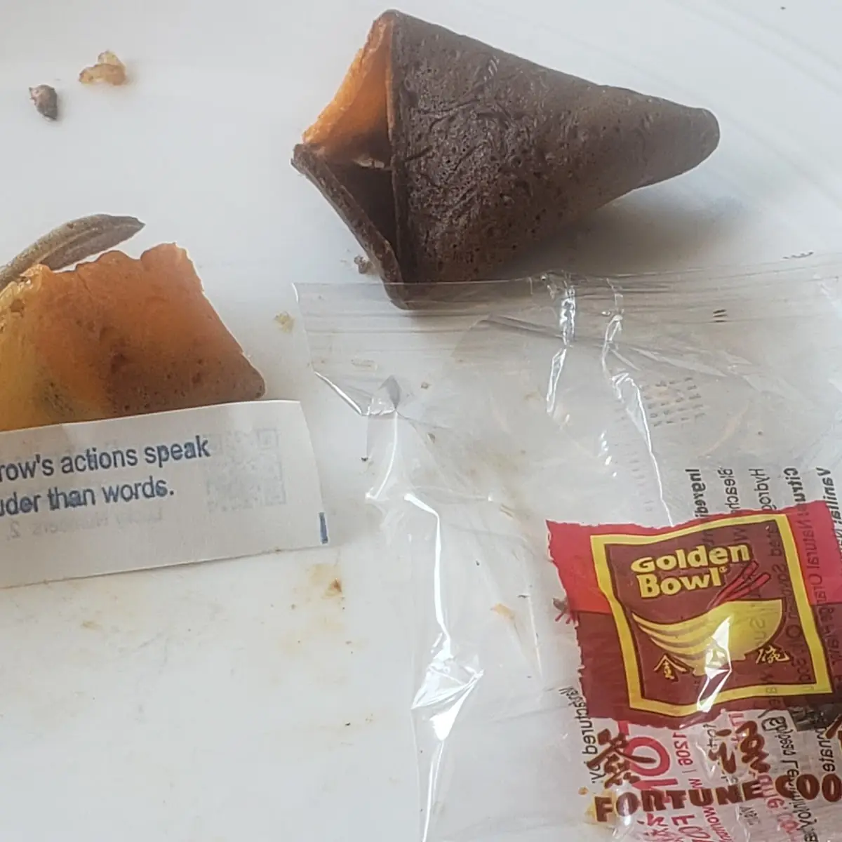 Fortune Cookie
