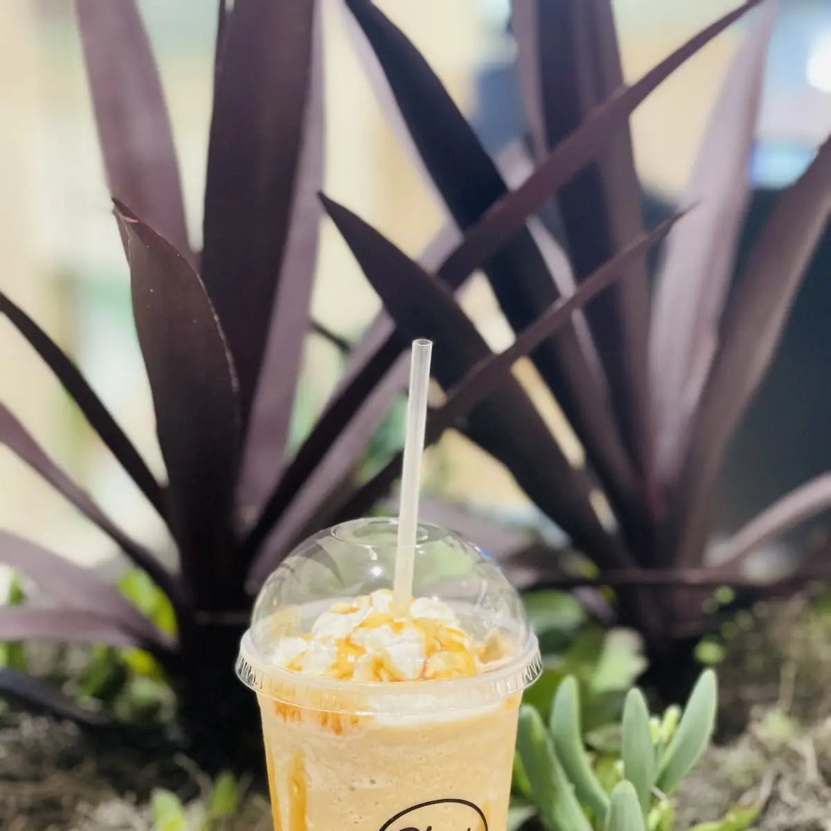 Caramel Frappe