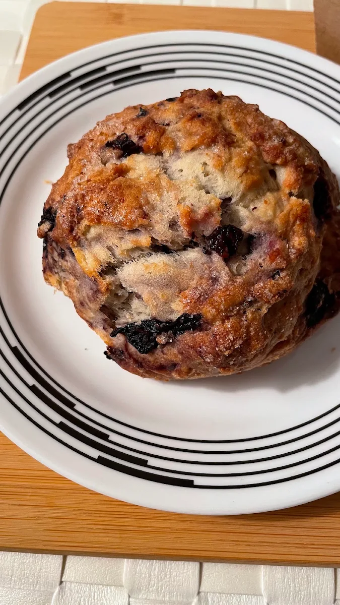 Blueberry Muffin