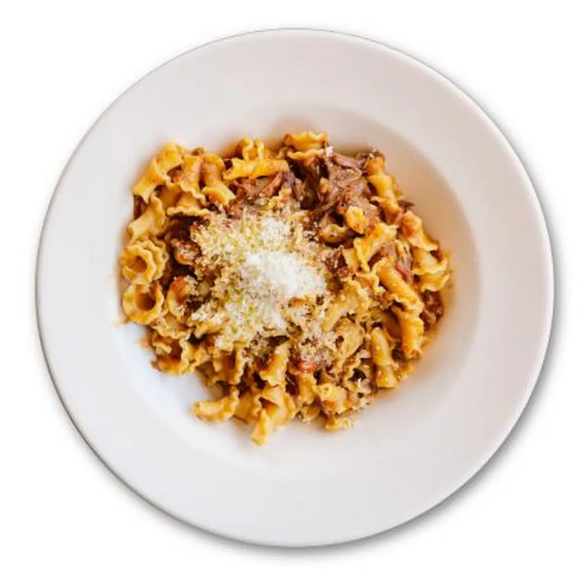 Short Rib Ragu